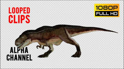 Animated 3D Tyrannosaurus Rex Walking and Roaring Loop