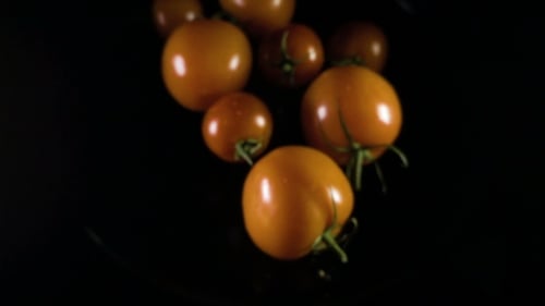 Falling Tomato on a Isolate on Black Background