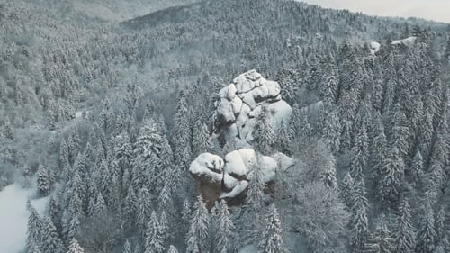 Luftaufnahme der Winterberge, Alpenwiese - Hügel bedeckt mit riesigen Pinien und schneebedeckten Hügeln