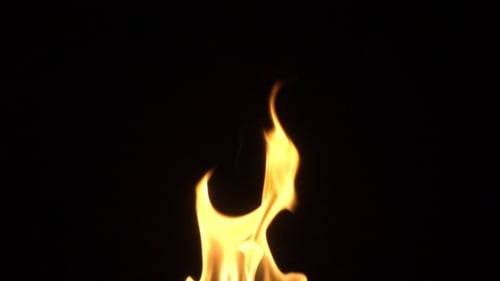 Feuer isoliert auf schwarzem Hintergrund.