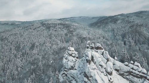 Aerial View of Winter Mountains, Alpine Meadow - Hills Covered with Huge Pine Trees and Snow-Capped