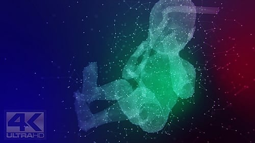 Plexus-Silhouette des menschlichen Fötus Ver.8
