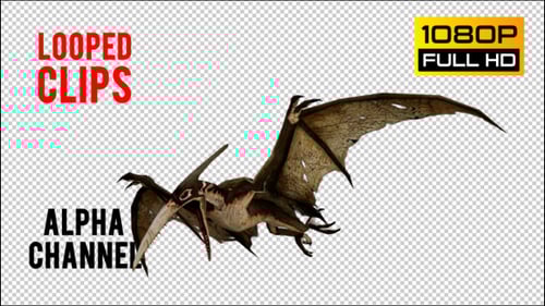 Animated 3D Pterodactyl Flying Creature on Alpha Channel