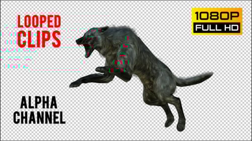 Aggressive 3D Wolf Animation Pack with Transparent Background