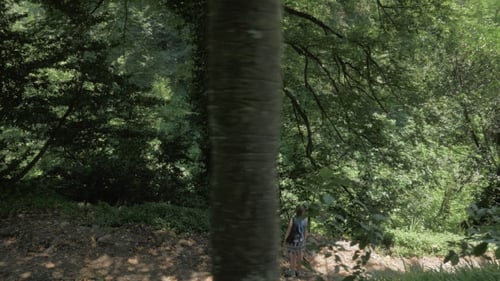 Junges Mädchen blickt auf großen Baum im tropischen Wald.
Georgia
