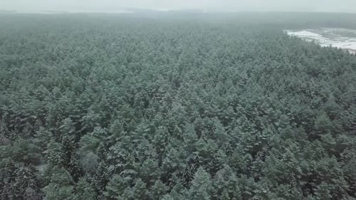 Winterwald Natur Schneebedeckte Winterbäume Landschaft Blick aus der Luft.