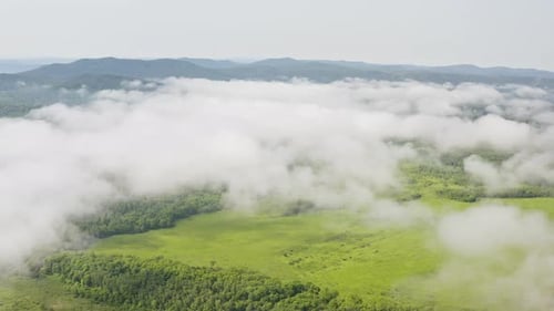 Drone View of a Landscape with Green Forests and Fields on a Beautiful Sunny Day