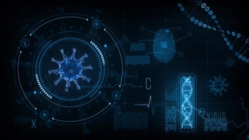 Hud Digital Assets - Envato