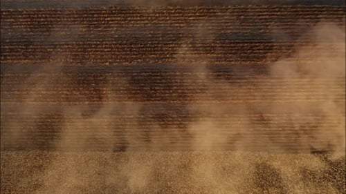Combine Harvesting Wheat Top View of a Wheatfield