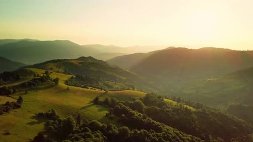 Aerial View of the Endless Lush Pastures of the Carpathian Expanses and Agricultural Land