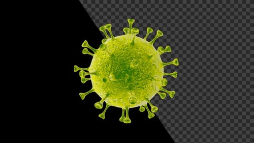 Covid 19 Coronavirus V23