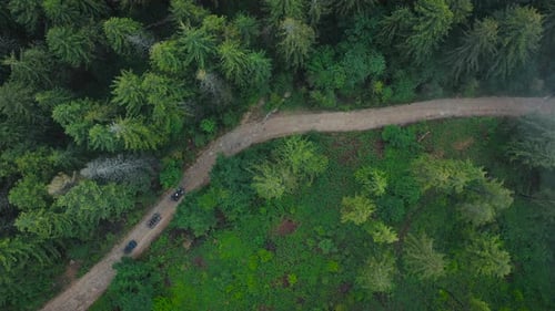 Aerial View of ATV Team Driving Through the Forest in the Mountains