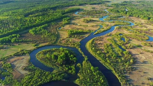 Aerial View Green Forest Woods And Curved River Landscape In Sunny Spring Day