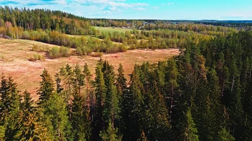 Vue aérienne des champs avec des forêts par une journée ensoleillée de printemps un paysage magique avec des lacs à la cime des arbres