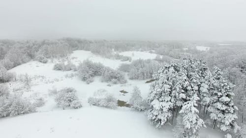 Aerial: Snow-covered countryside in winter