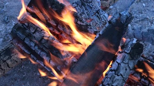 Burning Campfire Close-up at Night