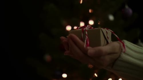 Hands Holding a Gift Near Christmas Tree