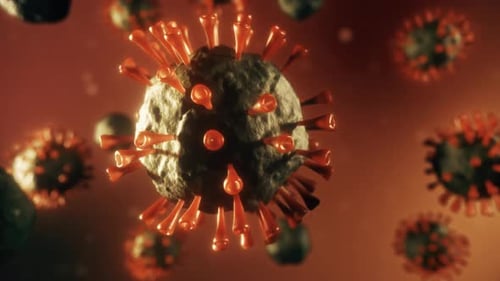 Realistic Deadly Virus Model