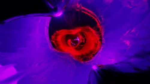 Vj Loop Hintergrund des gedrehten Rose und violetten Tunnels 4K