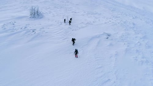 Gruppe von Touristen mit Wanderrucksäcken, die die hohen schneebedeckten Berge hinunterkommen