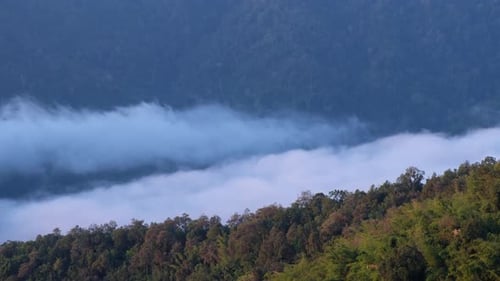 Landscape of greenery rainforest mountains and hills with the sea of fog