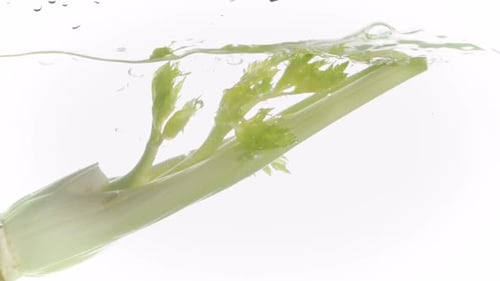 Celery Dropped into Water in Bright Studio Shot