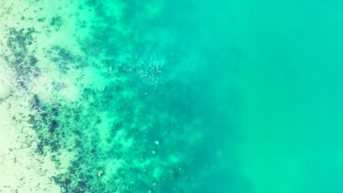 Tropical Aerial Travel Shot of A Paradise Sunny White Sand Beach and Blue Ocean Background