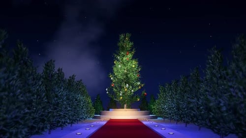 Elegant Christmas Tree and Red Carpet at Night Animation