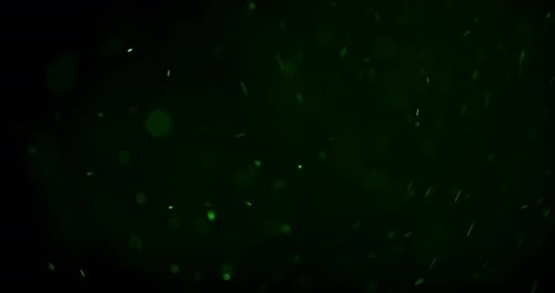 Beautiful Floating Dust Particles