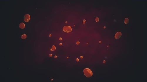 Falling Jack-o'-Lanterns and Pumpkins Halloween Animation Background