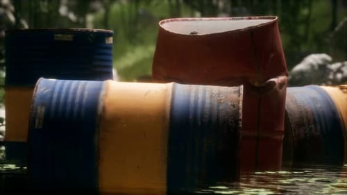 Rusty Barrels in Green Forest