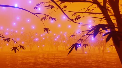Organic Forest