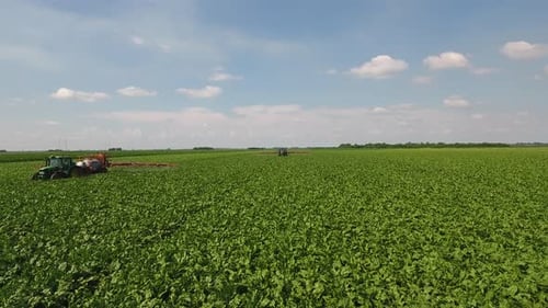 Tractor Sprays Expansive Green Crop Field