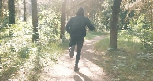 Slow Motion Shot of Man Running Through Pine Forest on Path in Woods. Runner Training Fitness and