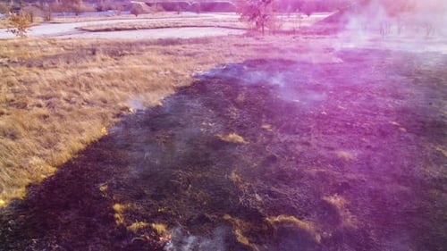 Aerial Drone View Burning Dry Grass
