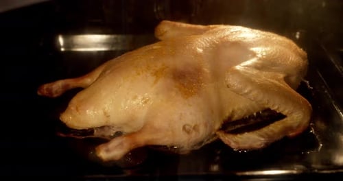 Timelapse Duck Is Baked in the Four Until Golden Brown.