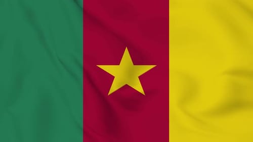 Realistic Waving Flag of Cameroon Vertical Loop Motion Graphic