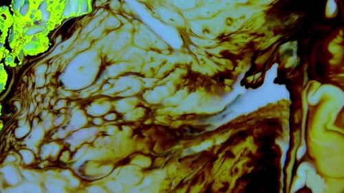 Colorful Abstract Fluid Mixing Background