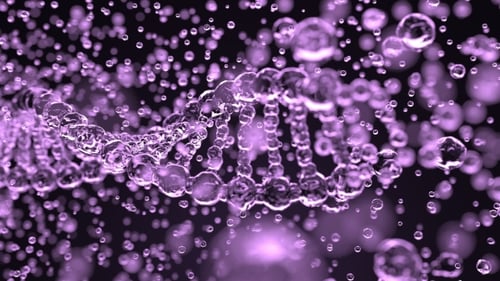 Destruction of DNA Molecule