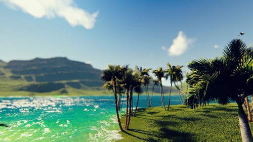Lush Tropical Island Scenery with Swaying Palm Trees and Blue Ocean