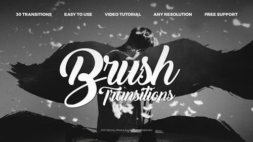 Paint Brush Transitions