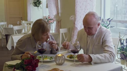Mature Couple Enjoying Fine Dining and Good Conversation