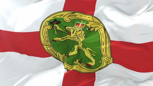 Crowned Lion Coat of Arms Waving on St. George's Cross Flag