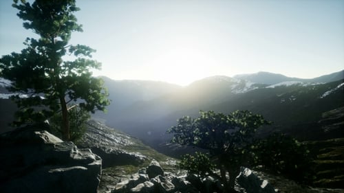 Sun Beams Through Trees