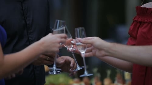 Amigos Tendo Vinho Brindando Tintar Copos de Vinho Sofisticado Jantar Férias Férias