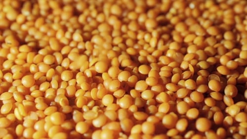 Heap of Orange Lentils, Close Up