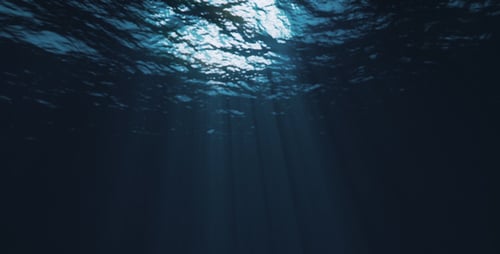 Sous l'eau sombre