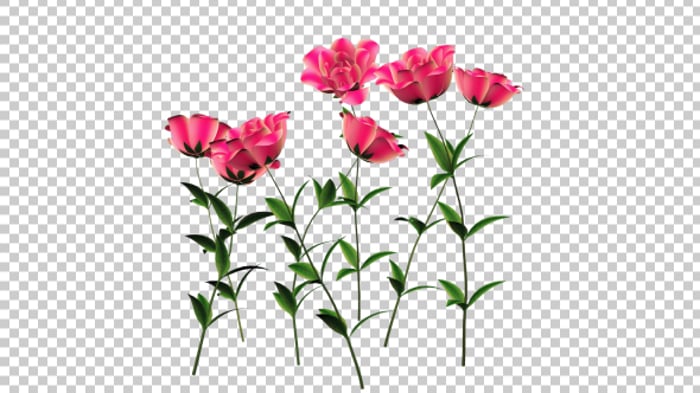 White Flower Rotation Animation, Backgrounds Motion Graphics ft. 3d ...