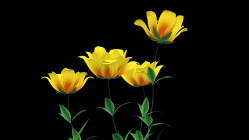 Animated Green Grass Growing with Yellow Flowers Blooming