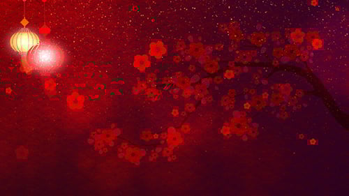 Animated Chinese New Year Celebration Background with Lanterns and Blossoms